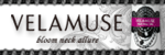 VELAMUSE