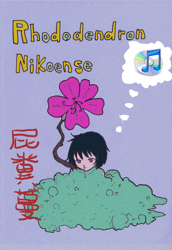 IMGitunesのコピー4