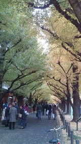 9477d2b9.jpg