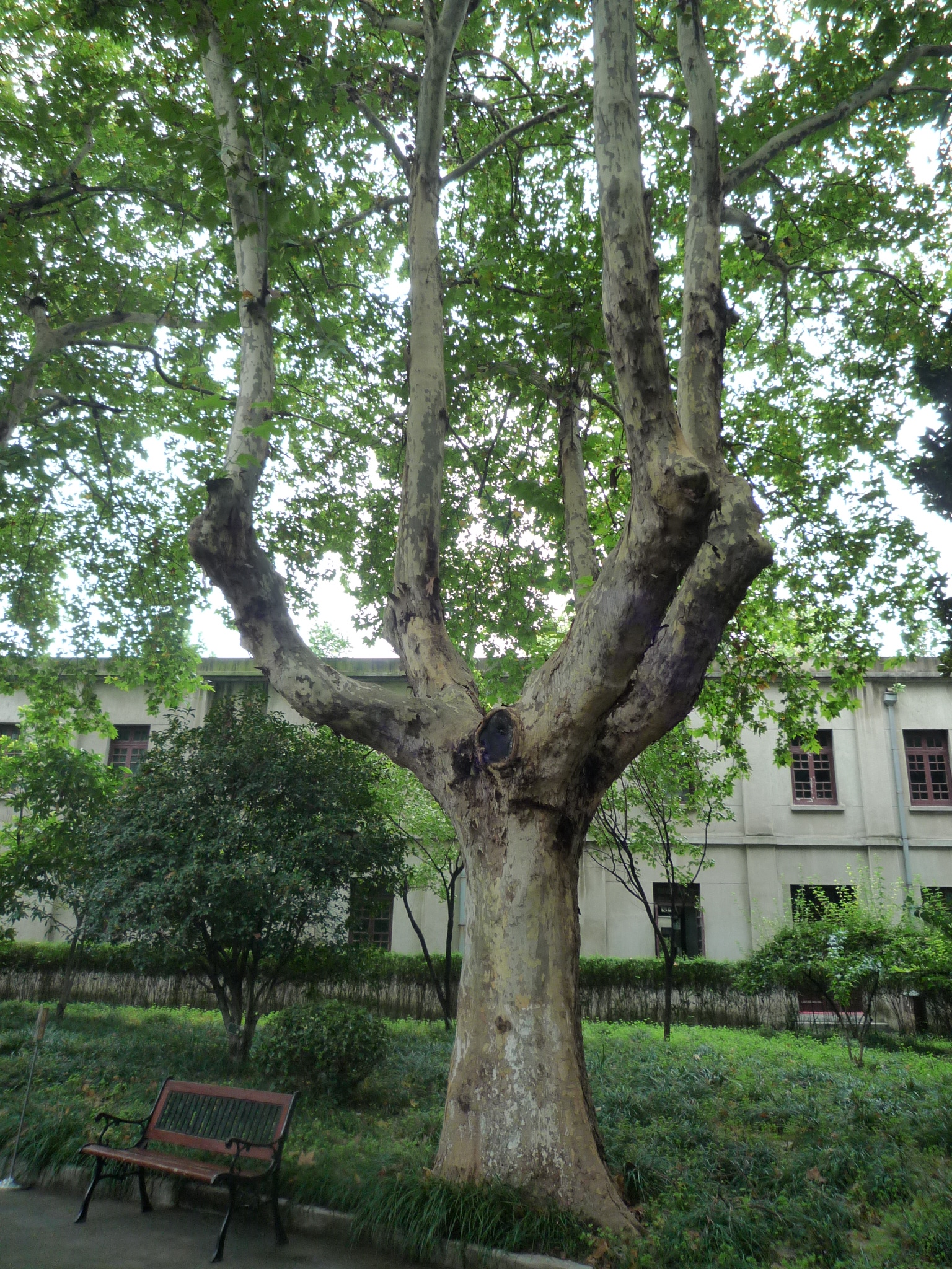 P1030544