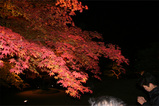 yorukoyou4