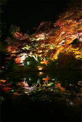 yorukoyou5