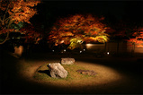 yorukoyou2