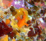 df8e772b.jpg
