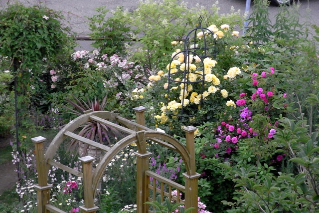 RIMG0564