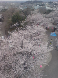 太田山公園