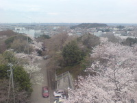 太田山公園