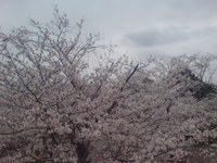 太田山公園