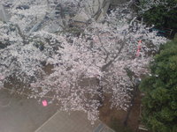 太田山公園