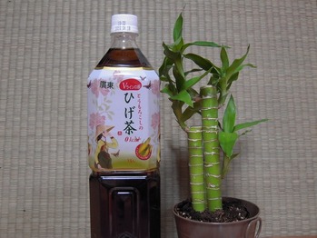DSCN0953
