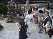 DSCF2252