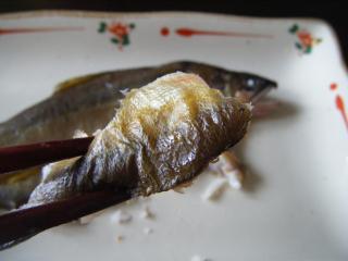 DSCF2928