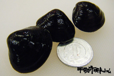 a9987efa.jpg