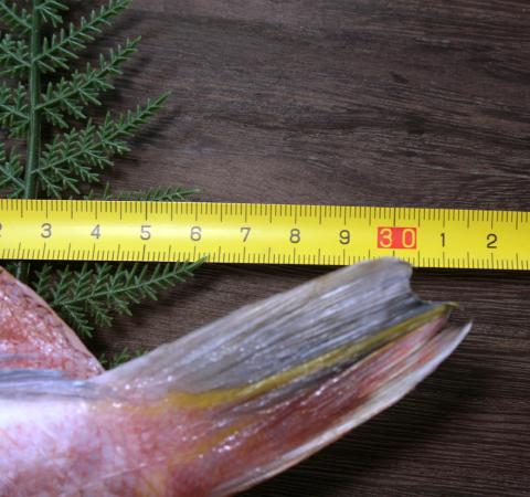 c3ea5938.JPG