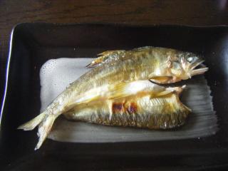 DSCF2913
