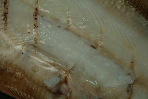 f9815555.JPG
