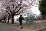 464cc1f3.jpg