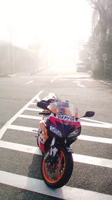22a8c6c0.JPG