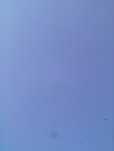 8f07b2c9.jpg