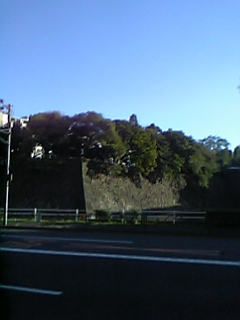 DVC00043