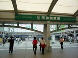 阪神競馬場
