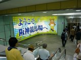 阪神競馬場