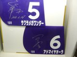 阪神競馬場