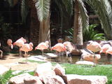 c632b046.JPG
