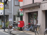 341e928c.jpg