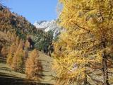 Bernina4