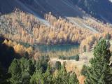 Bernina5