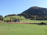 Bernina1