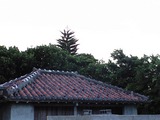 191a25e5.JPG