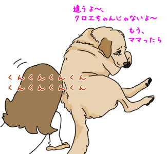 ¥¯¥í¥¨¤Á¤ã¤ó¥Á¥§¥Ã¥¯