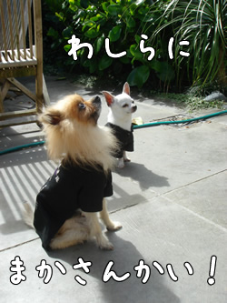 �ù����