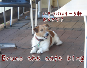 ¥«¥Õ¥§¡¦¥¥ó¥°¡ª