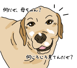 À¸¥¯¥ê¡¼¥à¥¨¥Ó¥¹