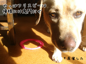 ¥Õ¥ê¥¹¥Ó¡¼£³