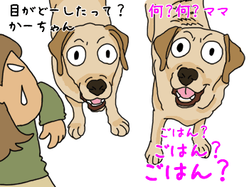 ³¨