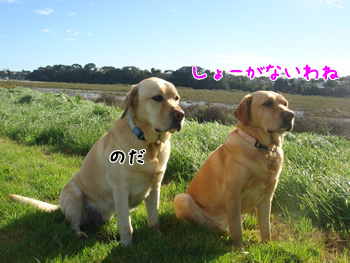 ¼Ì¿¿£µ