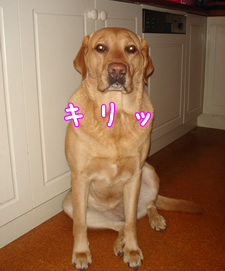 £±