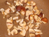 ����饤�������Τ�