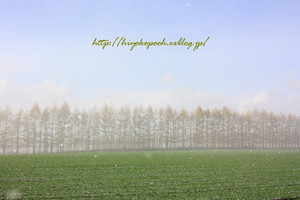 IMG_58727 ブログ用