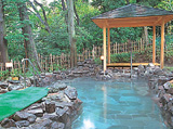 塔ノ沢温泉 ひめしゃらの湯