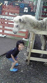 ���ե�����ɣ���