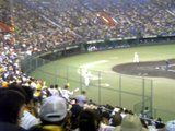 200505249
