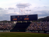 200505244