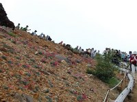 trip1-12