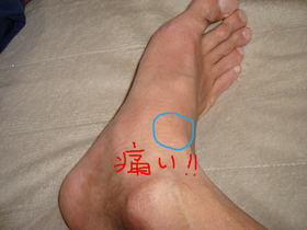 DSC00358.JPG