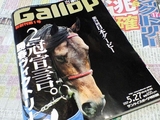 Gallop�������ȥ꡼